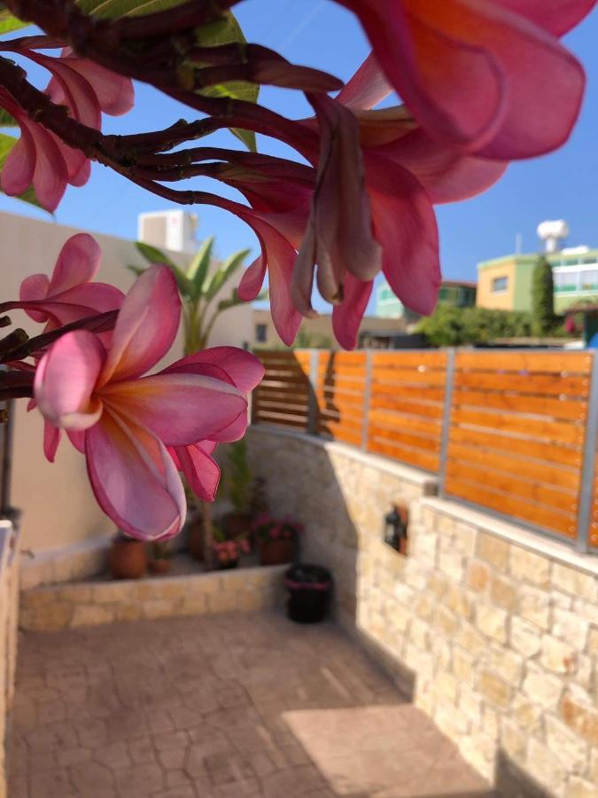 Fontana Traditional House Anarita Екстериор снимка